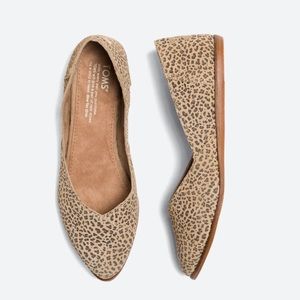 Toms Jutti Neat Leopard Suede Flats